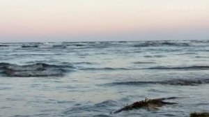 Белое море: Холодное очарование родины поморов | Интересные факты про Белое море