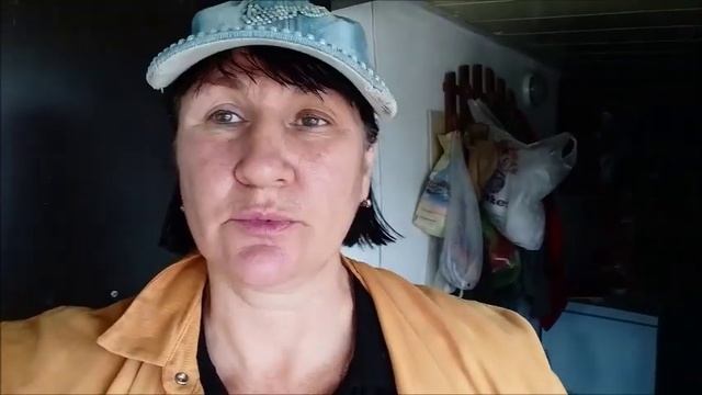 Закрываю проём между крышей вольеров и крышей кормовой комнаты смотреть онлайн
