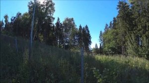 Плёс: купаемся в Волге на даче Дмитрия Медведева