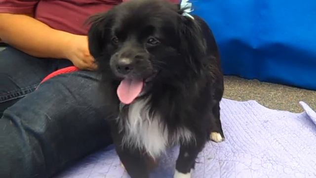 Lucas A4450607 RESCUED!!! смотреть онлайн
