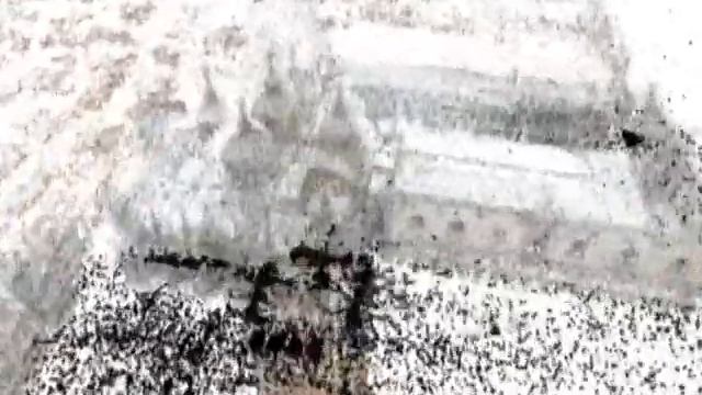 Flickr photos used to build Rome in digital 3D смотреть онлайн