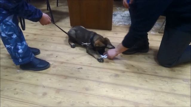 выборка вещи: урок -2 смотреть онлайн