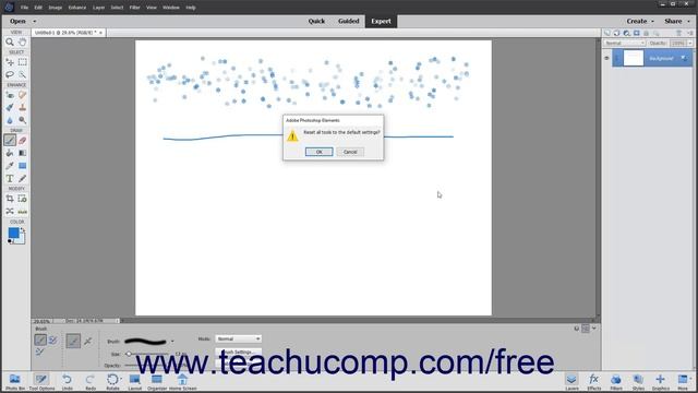 Learn How to Reset Brush and Tool Settings in Adobe Photoshop Elements 2022: A Training Tutorial смотреть онлайн
