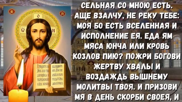 18 октября Харитинин день. Что нельзя делать 18 октября. Народные традиции и приметы на 18 октября смотреть онлайн