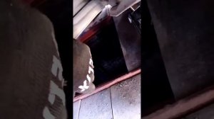 Ниссан Цефиро А33