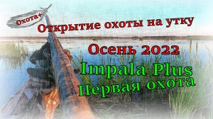 Открытие охоты на утку Осень 2022, новое ружье Impala Plus Импала плюс Первая охота #открытие #охота