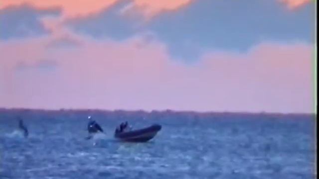 SIGMA ship ran aground in Livorno, filmed with Sony Handycam Video 8 смотреть онлайн