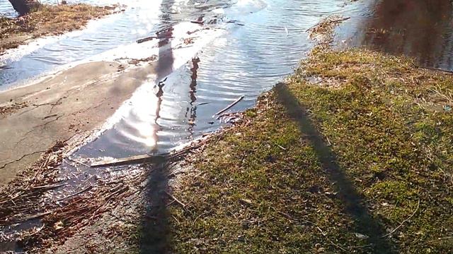 Деханов пруд. Весна 2014, разлив воды.