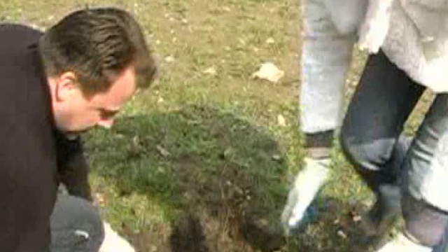 Сделай свой город красивее! смотреть онлайн