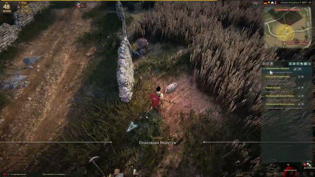Black Desert заблудившийся поросенок смотреть онлайн