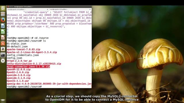 OpenIDM Cluster Configuration смотреть онлайн