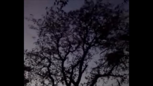 Land of Dead [Fragmento] Griefshire / Tributo Summoning смотреть онлайн