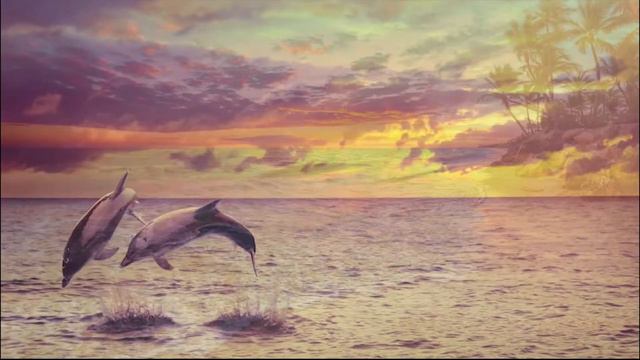 1 Hour Relaxing Guitar Music: Instrumental Music, Calming Music, Meditation Music, Soft Music смотреть онлайн