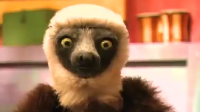 Zoboomafoo | Play Games at the Zoo! | Episode Animals For Kids смотреть онлайн