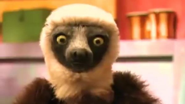 Zoboomafoo | Play Games at the Zoo! | Episode Animals For Kids