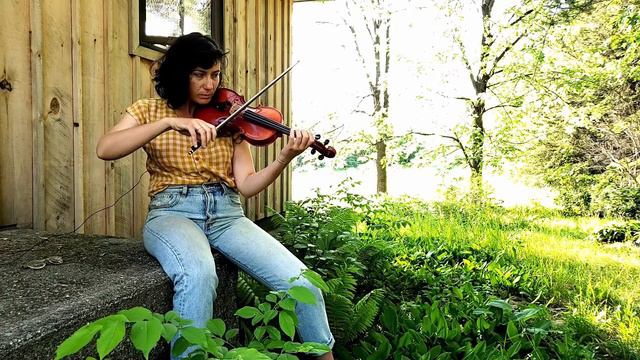 Zollie's Retreat performed by Erica Miller смотреть онлайн
