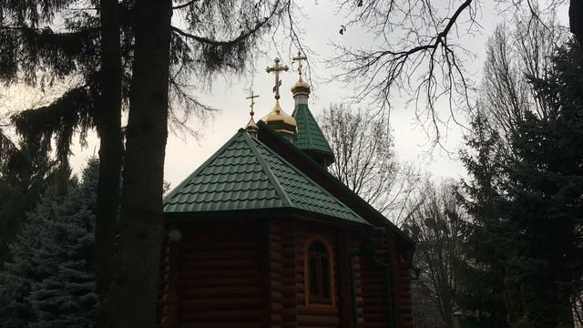 Для чего дается жизнь человеку? Смысл жизни. Жизнь после смерти. Воскресение. Преподобный Иустин смотреть онлайн