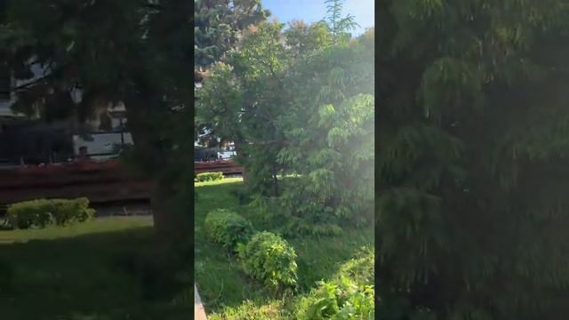 311/ Чебоксары.Скамейка применения, Таганаит -камень счастья и любви смотреть онлайн