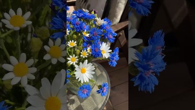 Васильки и ромашки. Скульптура из холодного фарфора смотреть онлайн