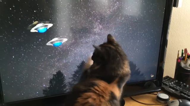 CAT GAMES - UFO Review смотреть онлайн