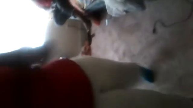 229.3gp смотреть онлайн