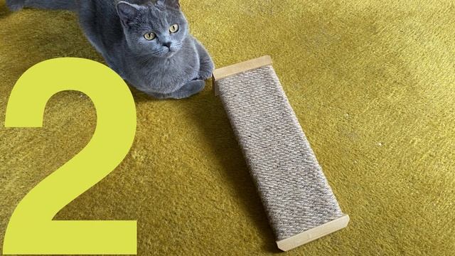 DIY cat scratcher - 3 different cat scratching post models смотреть онлайн