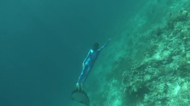 MANTAS-MALDIVES, ФРИДАЙВИНГ С МАНТАМИ смотреть онлайн
