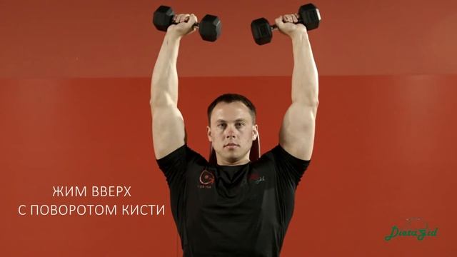 Жим Арнольда: техника сидя с гантелями смотреть онлайн
