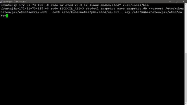 30 Backup Etcd In Kubernetes Cluster