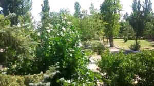 Притча.Два лесоруба.