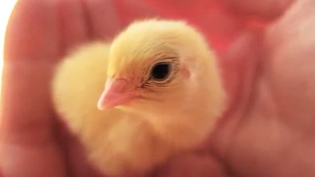 "А далеко ли до конца?.." смотреть онлайн