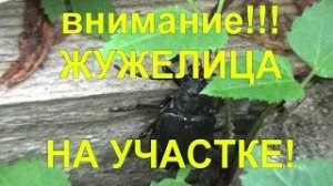 22 НЕ ТРОЖЬТЕ ЕЁ! - вы выиграли лотерейный билет!