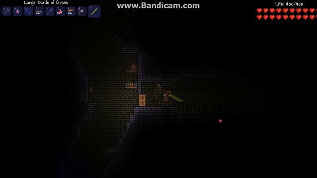 Terraria Boss Battle 3 (a Special Gift To You) Skeletron