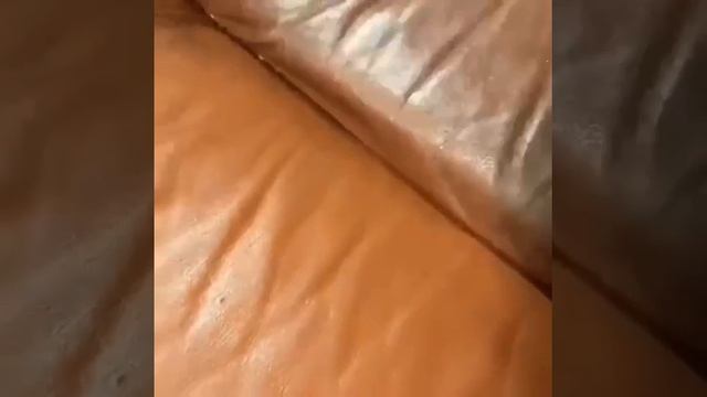 Чистим КОЖУ губкой от Greenway. Легко, просто и быстро! :) смотреть онлайн