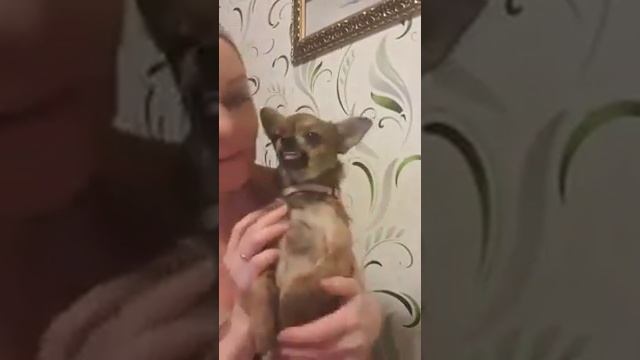 Очень злая Дора смотреть онлайн