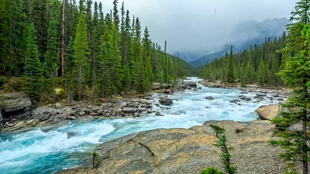 Beautiful Nature River flowing in Canada 4k. Relaxing River Sounds, Nature White Noise for Sleeping смотреть онлайн