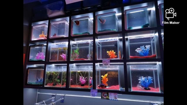 Kakadu Galeria Mokotów смотреть онлайн