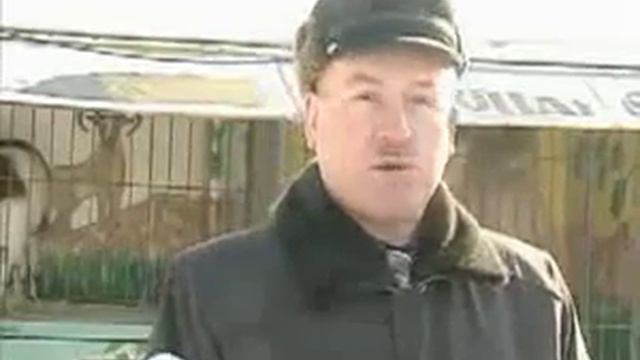 Незаконний пересувний звіринець в Сіверодонецьку смотреть онлайн