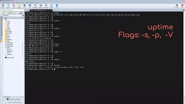Linux Commands | System Information using uname, uptime and hostname commands смотреть онлайн
