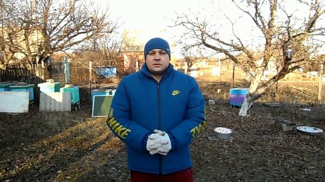 КЛЕЩ ВАРРОА.ПРОБЛЕМА №1 В ПЧЕЛОВОДСТВЕ!!!! смотреть онлайн
