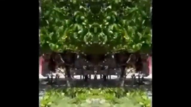 KURUWAAHAKA[DMplay]Viantey,MeEtTeY,Rahgu смотреть онлайн