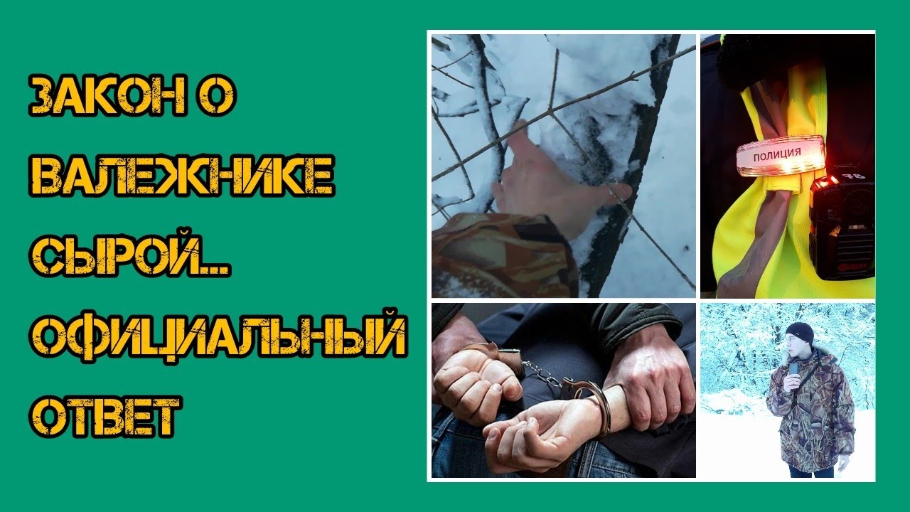 Закон о валежнике 2019   Закон не принят!!!!!   ВоронежЛесХоз 
Законы вступают с запозданием или ...