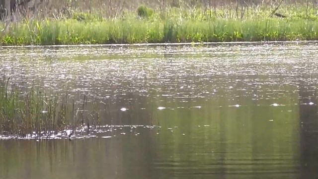 На рыбалку смотреть онлайн