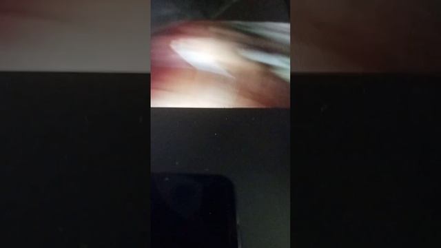 блендер называется тефаль и взбивал коктейль из телефона снята данены фантазия смотреть онлайн