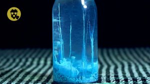 "Химические ВОДОРОСЛИ" простой ЭКСПЕРИМЕНТ в домашних условиях