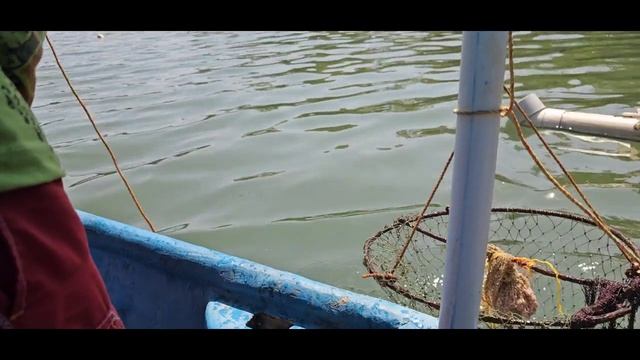 Орлиные танцы смотреть онлайн