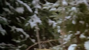 Три Орешка Для Золушки 1973 HD