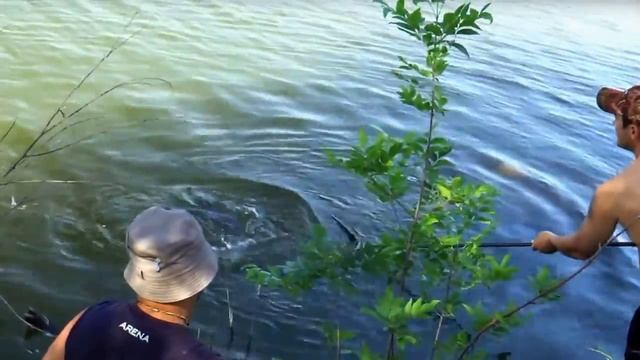 Про Рыбалку Ловля Карпа на Бойлы в Коряжнике Часть 1 смотреть онлайн