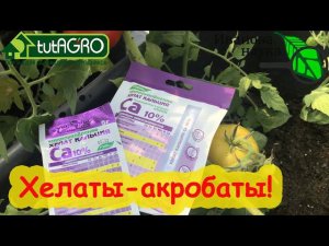 УСТАНЕТЕ ТЯГАТЬ УРОЖАЙ, если сделаете ЭТИ УДОБРЕНИЯ СВОИМИ РУКАМИ! Хелаты и как их применять.