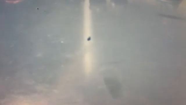 Фигурки посуда еда для кукол из пластилина! смотреть онлайн